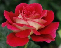 0a43ce65-2823-11e8-9db1-005056c00008-1
