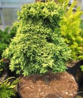 e63bbb15-3a51-11e8-a7ea-005056c00008-1