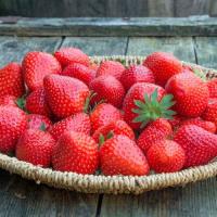 bc7cd2d0-2c80-11ef-890e-246e9611e8f7-1