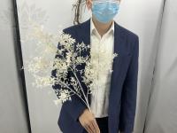 e68cbf2d-9ce6-11ef-8912-246e9611e8f7-1