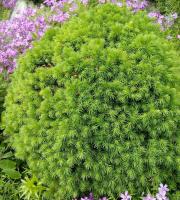 080b8da3-bec7-11ef-8914-246e9611e8f5-1