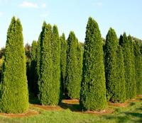 a5b5a86e-2bd9-11f0-8918-246e9611e8f6-1