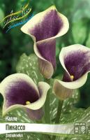 232c717e-fa91-11dd-868a-0019dbe91ea3-1