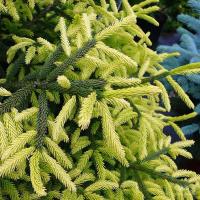 e7cf13f9-d028-11f0-891e-246e9611e8f6-1