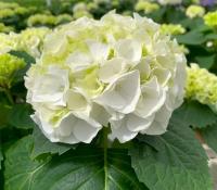 b250fc3f-c202-11f0-891d-246e9611e8f7-1