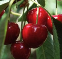 900167ad-bebb-11f0-891d-246e9611e8f7-1