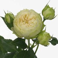 9b70866c-cc8e-11ee-890a-246e9611e8f5-1