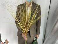 d2dc2edc-5a5c-11f0-891b-246e9611e8f7-1