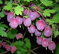 a5d16fd9-cc21-11ef-8915-246e9611e8f5-1