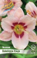 8ff24c03-1bba-11e8-9db1-005056c00008-1