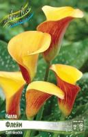 d3aec422-4c90-11e0-99a9-00500454e615-1