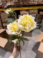 f9cd2892-5a54-11f0-891b-246e9611e8f7-1