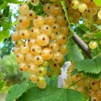 9fb9b78f-a342-11eb-93b3-005056c00008-1