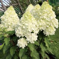 ab532707-bf0d-11f0-891d-246e9611e8f7-1