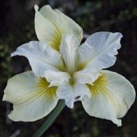 3d242176-1aac-11e7-af54-001e673ebdea-1