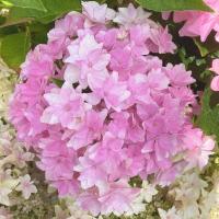 85ab8076-542f-11f1-892a-246e9611e8f6-1