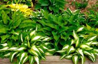 38c92f88-5560-11ef-8910-246e9611e8f6-1