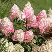 8fbf2ca8-c157-11f0-891d-246e9611e8f7-1