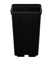 4581d08a-f027-11ef-8915-246e9611e8f5-1