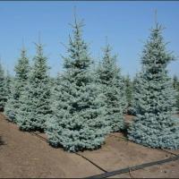 f4c95ed7-107b-11e7-b683-001e673ebdea-1