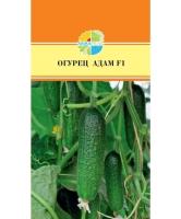 33efd261-3dbc-11ea-ab2f-005056c00008-1