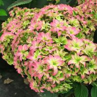 c7bd1346-55aa-11f1-892a-246e9611e8f6-1