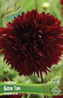 42385542-1c56-11f1-8926-246e9611e8f6-1