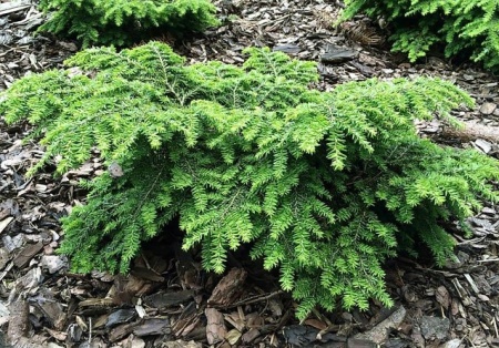 106a6c75-c37f-11ef-8915-246e9611e8f5-1