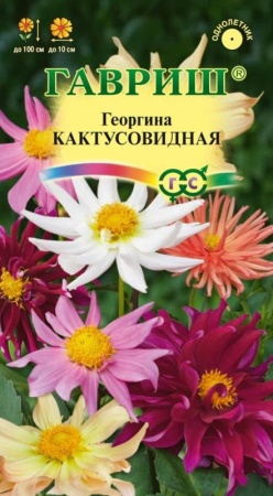 70f41b15-dcea-11dd-9138-00500454e615-1