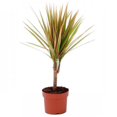 149d1f09-2458-11f1-8926-246e9611e8f6-1