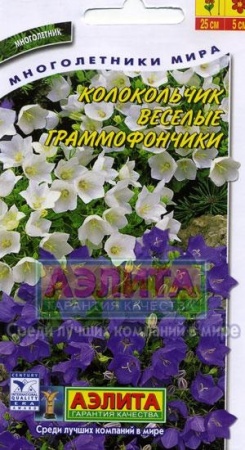 7d524cc3-dcea-11dd-9138-00500454e615-2