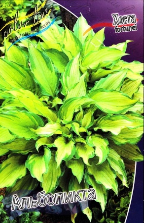 5d523bea-3e58-11df-884b-0019dbe91ea3-1