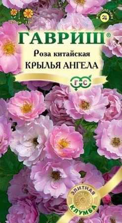 9b4cfe71-dcea-11dd-9138-00500454e615-1
