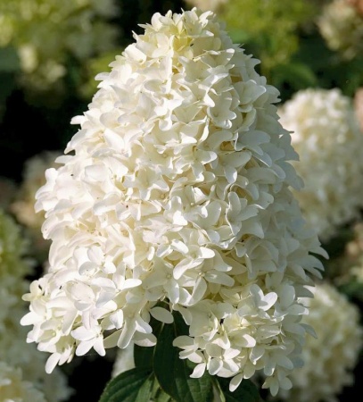 f6bfe310-bf0e-11f0-891d-246e9611e8f7-1