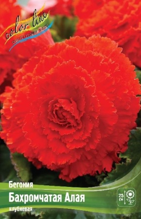 6927d661-373f-11eb-b90a-005056c00008-1