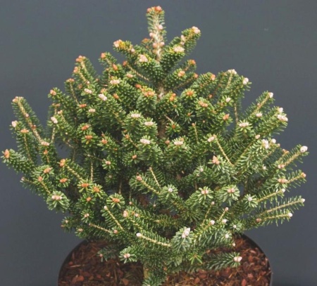 5fd1670e-d4d9-11f0-891e-246e9611e8f6-1