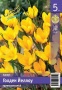 7e735400-9ec5-11df-854c-002354cb09e1-2