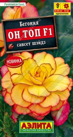 3b7a3604-f8c6-11ea-b984-005056c00008-2