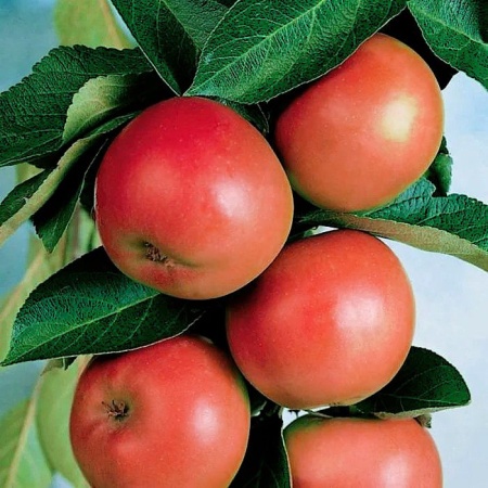 6973db94-bb9e-11f0-891d-246e9611e8f7-1