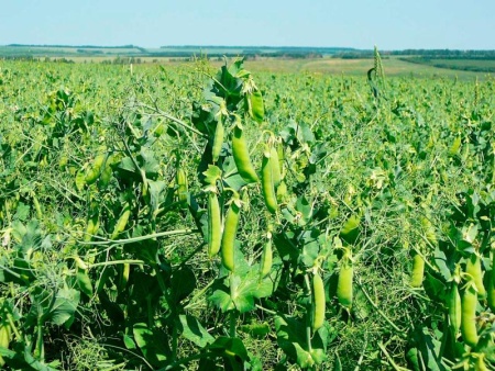 287f8406-ef5b-11e6-bb6f-001e673ebdea-1