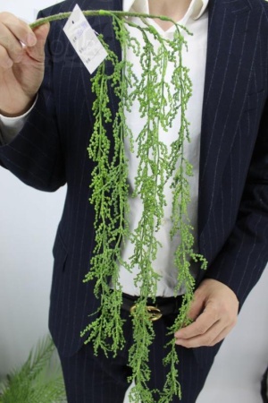 029ba894-5a71-11f0-891b-246e9611e8f7-1