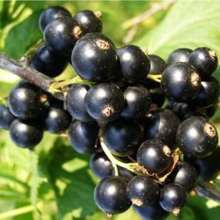 b3db90dc-f06d-11f0-8920-246e9611e8f7-1