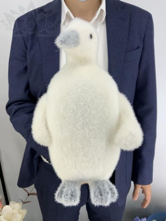 24d13c38-cab0-11f0-891e-246e9611e8f6-1