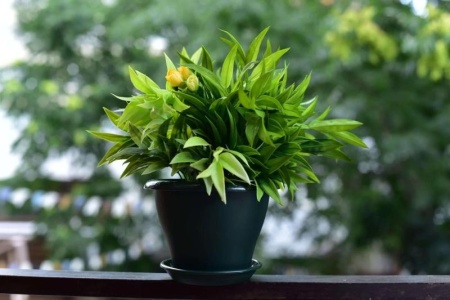 53ca2ce0-5746-11ed-aea3-001e673ebdea-1