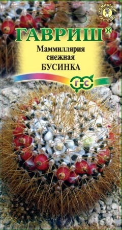 4cff72da-ce8c-11eb-8e2c-005056c00008-2