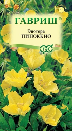 32c19dca-1b97-11e8-9db1-005056c00008-1