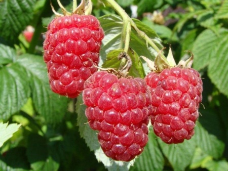 6093c9b4-328a-11f0-8918-246e9611e8f6-1