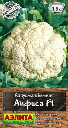 fa742221-4a12-11ed-aea3-001e673ebdea-1