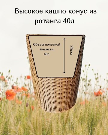 2493e568-df17-11f0-891e-246e9611e8f6-4