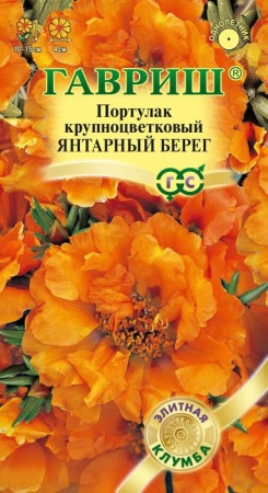 21433db7-c797-11de-87ae-0019dbe91ea3-1